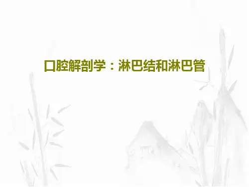 口腔解剖学：淋巴结和淋巴管PPT文档共103页