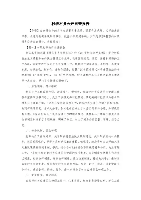 村级村务公开自查报告