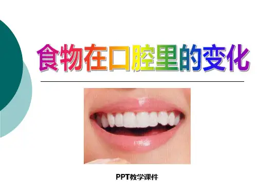 食物在口腔里的变化PPT课件