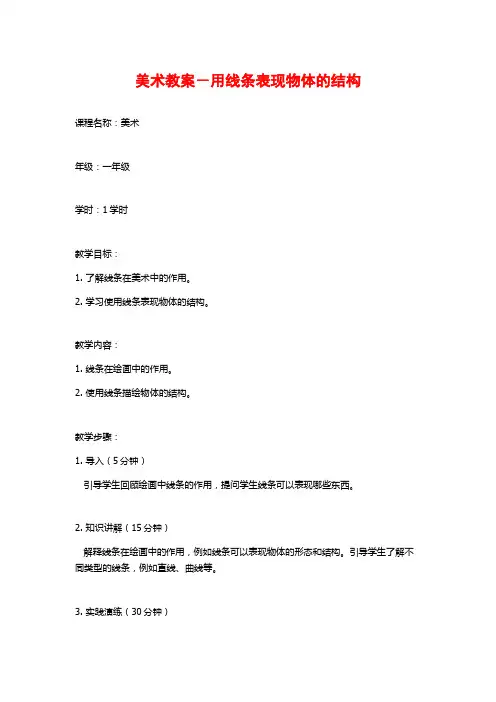 美术教案-用线条表现物体的结构