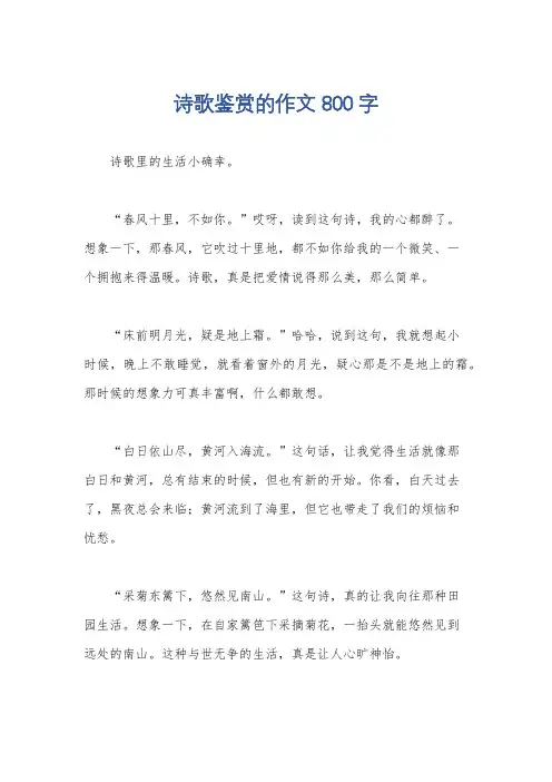 诗歌鉴赏的作文800 字
