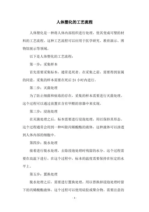人体塑化的工艺流程