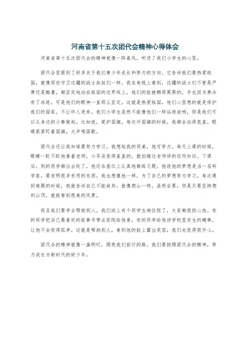 河南省第十五次团代会精神心得体会