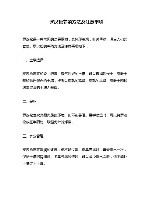 罗汉松养殖方法及注意事项