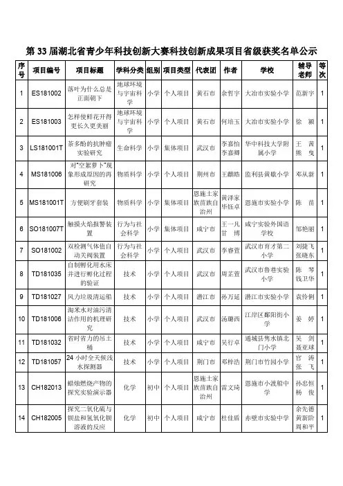 第33届湖北青少年科技创新大赛科技创新成果项目-湖北科协