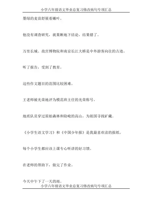 小学六年级语文毕业总复习修改病句专项汇总228