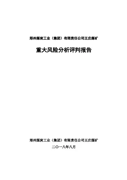 重大风险分析研判报告(最新)