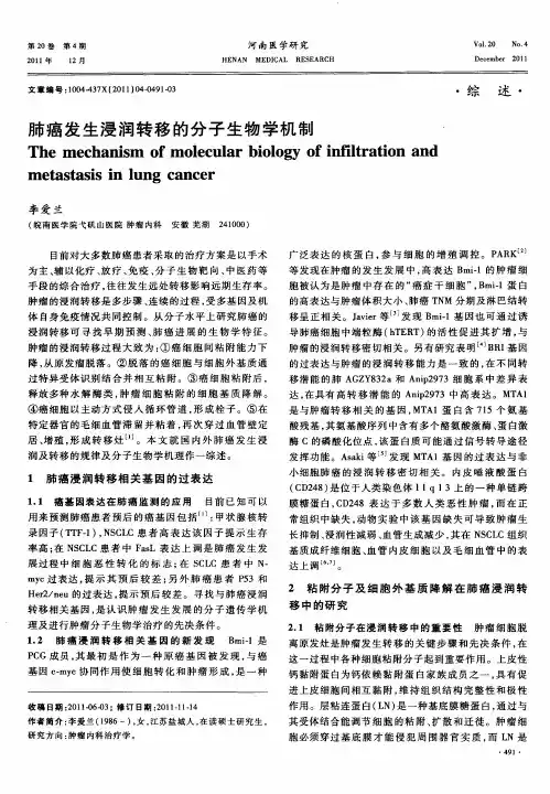肺癌发生浸润转移的分子生物学机制