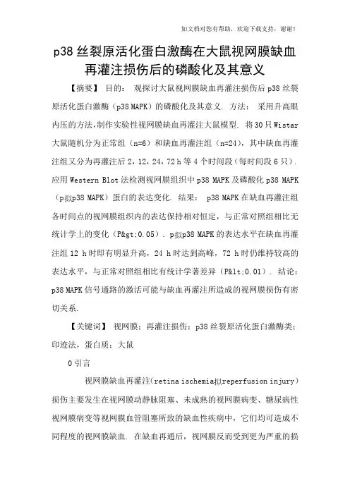 p38丝裂原活化蛋白激酶在大鼠视网膜缺血再灌注损伤后的磷酸化及其意义