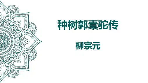 11.《种树郭橐驼传》文言复习课件统编版高中语文选择性必修下册