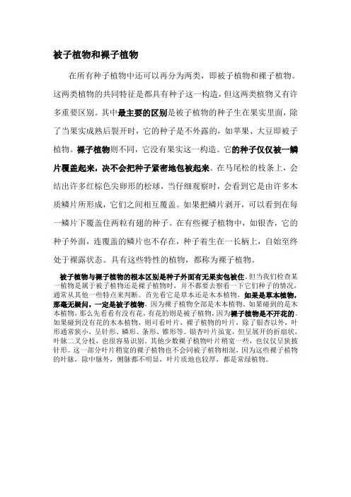 被子植物和裸子植物