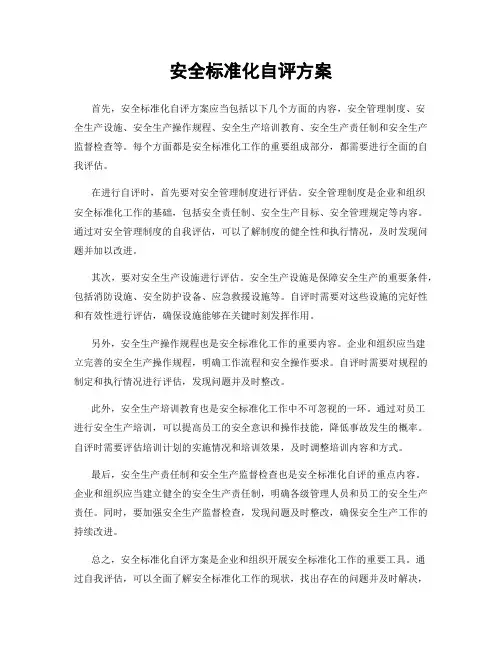 安全标准化自评方案