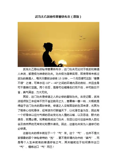 武当太乙派秘传寒暑铁布衣（原版）
