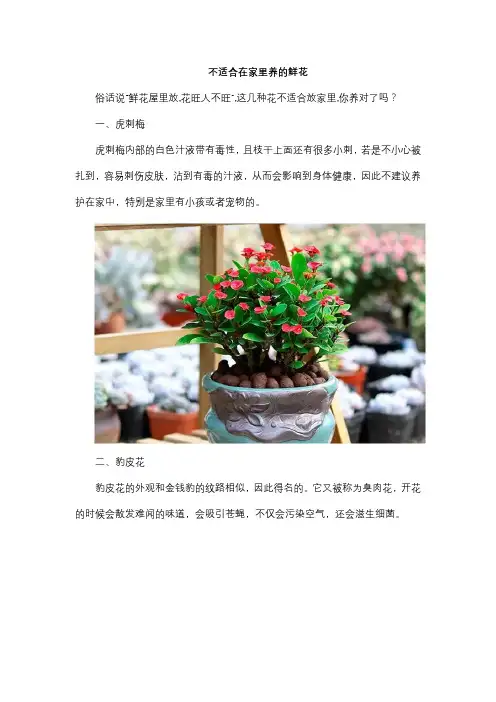 “鲜花屋里放,花旺人不旺”,这几种花不适合放家里,你养对了吗