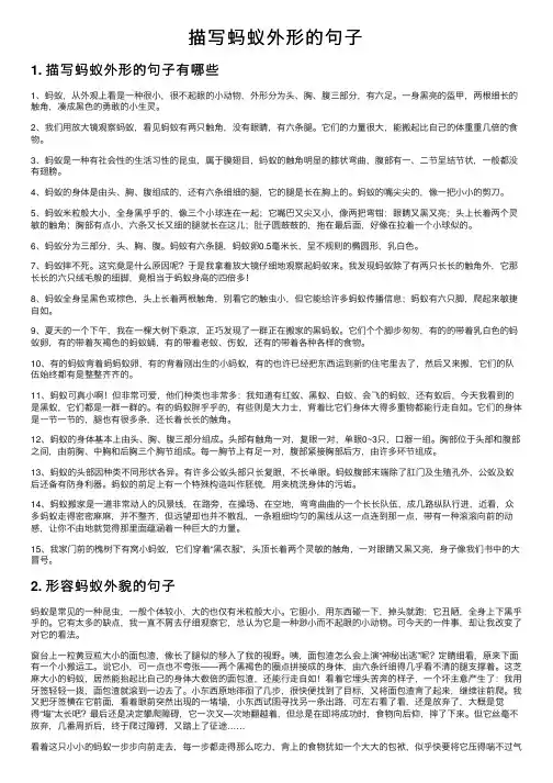 描写蚂蚁外形的句子