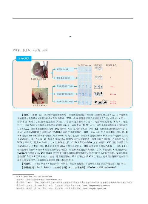 低温环境复灌对兔肾缺血-再灌注损伤保护作用的实验研究