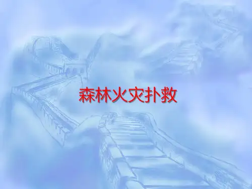 森林火灾扑救