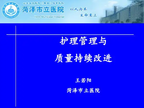 三甲评审护理部分