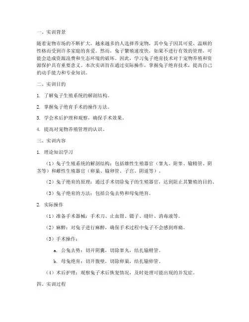 兔子绝育实训报告