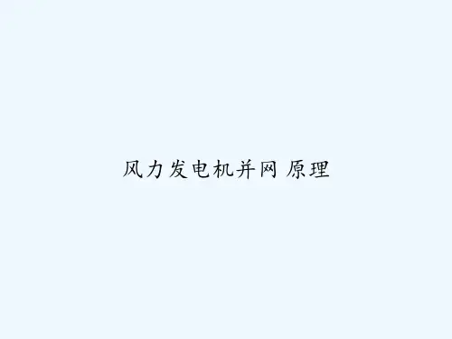风力发电机并网 原理 PPT