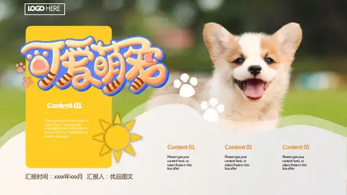 暖黄色简约风宠物主题活动培训ppt模板