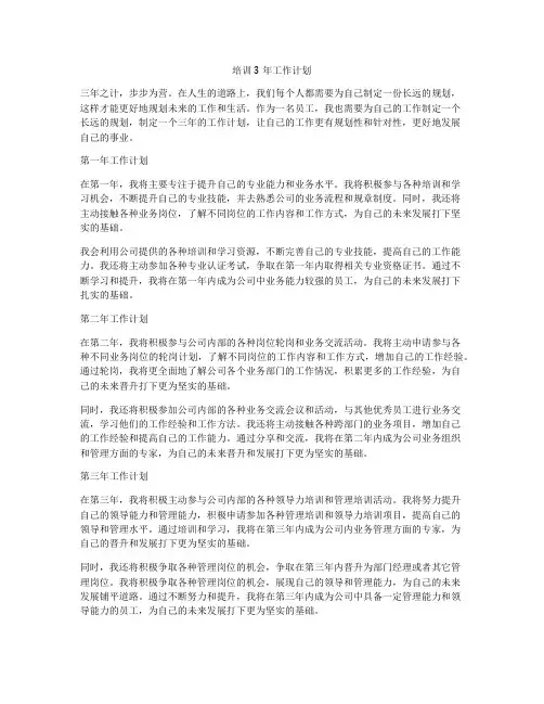 培训3年工作计划