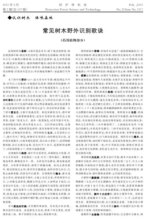 常见树木野外识别歌诀