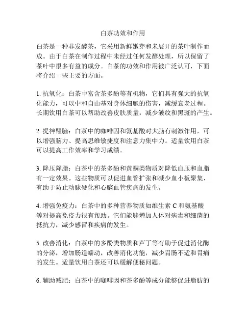 白茶功效和作用