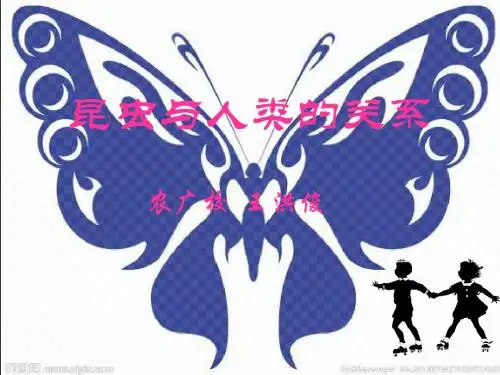 昆虫与人类的关系