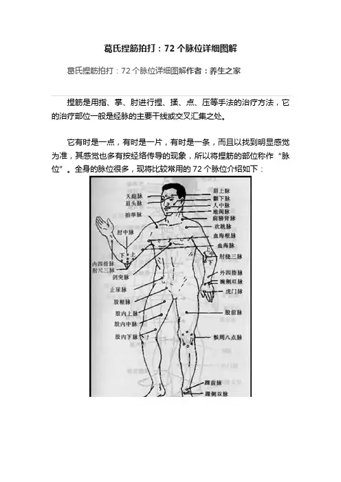 葛氏捏筋拍打：72个脉位详细图解