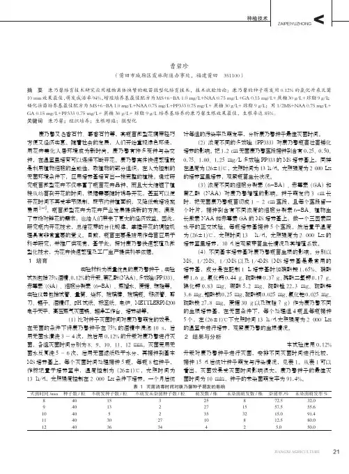 关于康乃馨培育技术的探讨