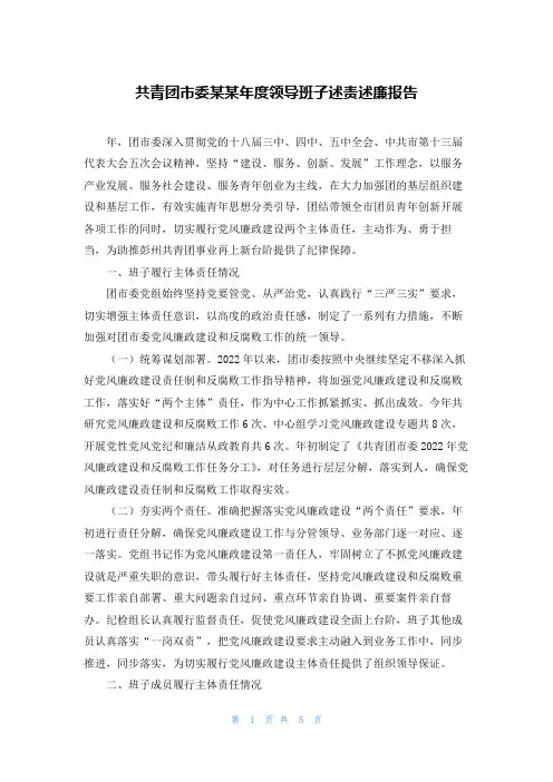 共青团市委某某年度领导班子述责述廉报告