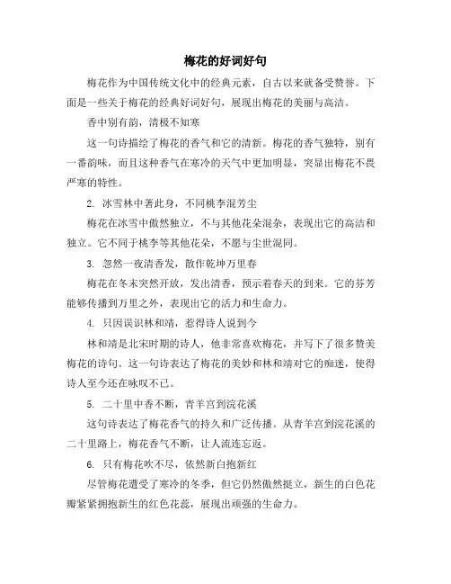 梅花的好词好句