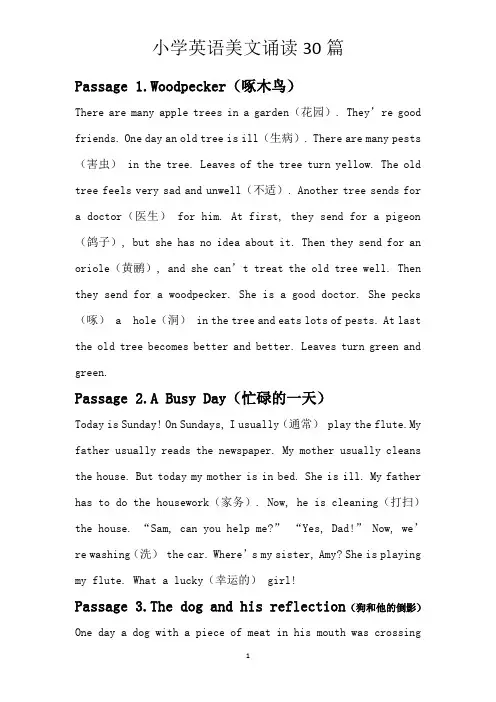 小学英语美文30篇