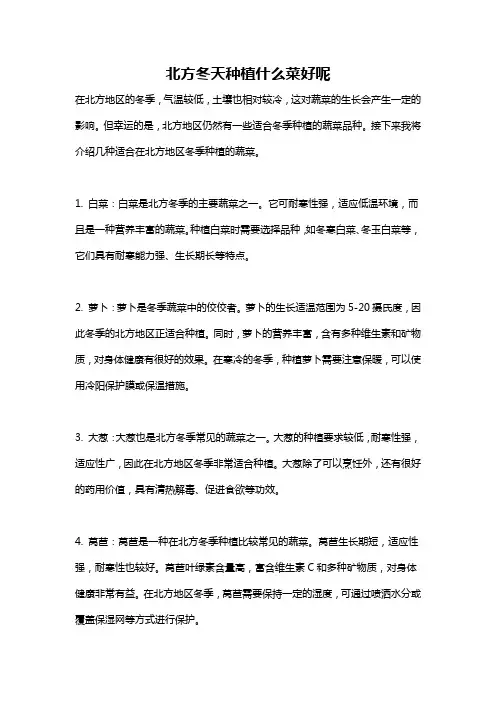北方冬天种植什么菜好呢