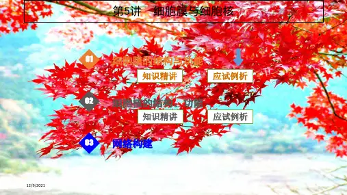 高考生物一轮复习第5讲细胞膜与细胞核课件高三全册生物课件