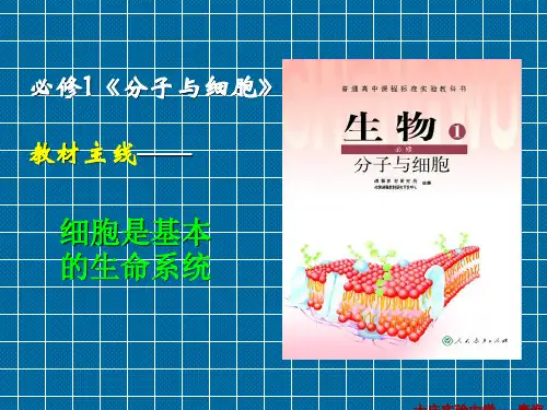 高中生物必修一全册
