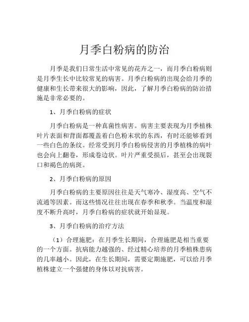 月季白粉病的防治