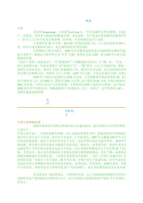 小麦概述