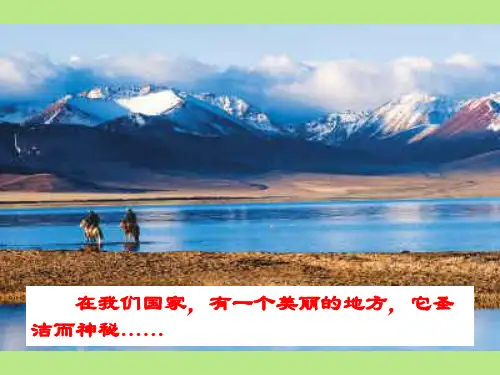 《离太阳最近的树》