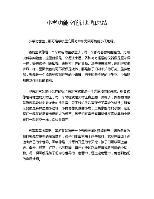 小学功能室的计划和总结
