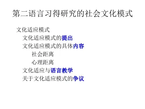 第二语言习得