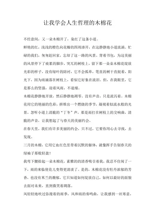 初三散文让我学会人生哲理的木棉花