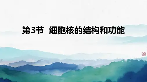 细胞核的结构和功能ppt课件