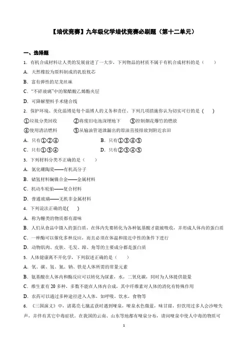 【培优竞赛】九年级化学培优竞赛必刷题(第十二单元)(学生版)