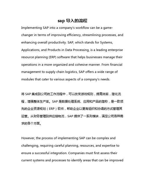 sap导入的流程