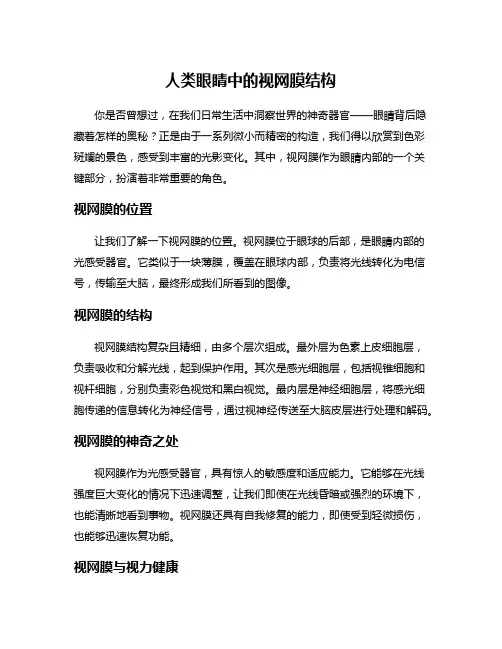 人类眼睛中的视网膜结构