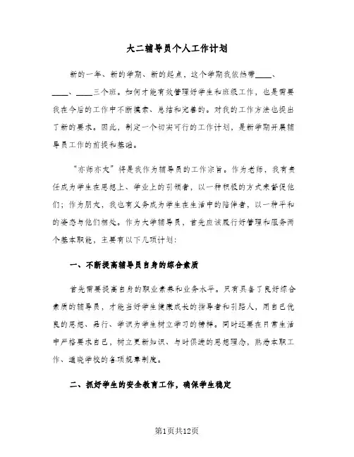 大二辅导员个人工作计划（3篇）