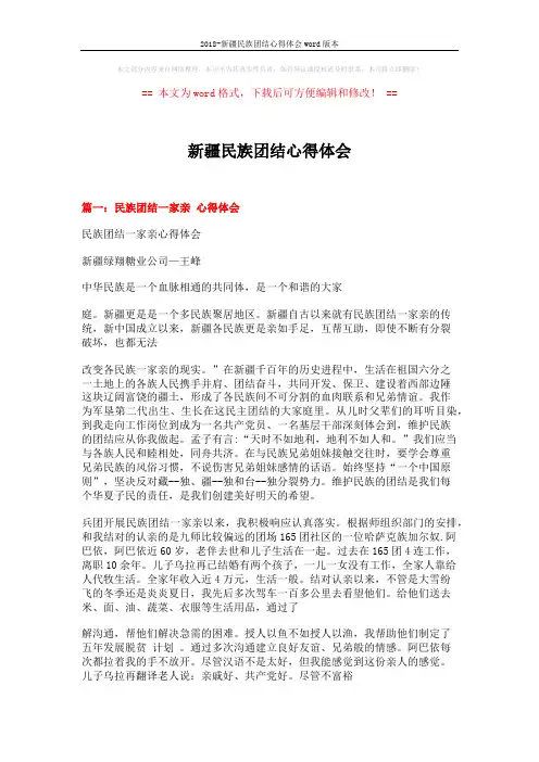 2018-新疆民族团结心得体会word版本 (19页)