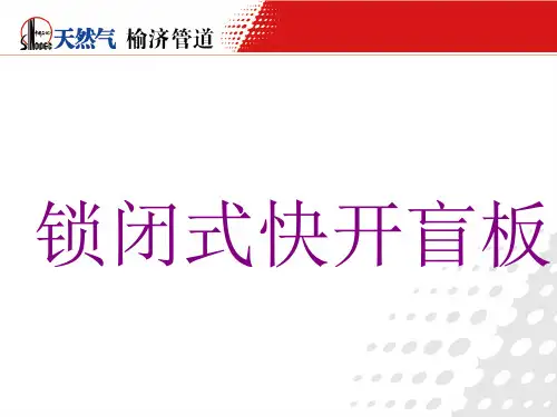 燃气发电机(刁飞)